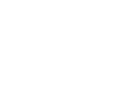 SummirDay 2019 en CrossFit SK